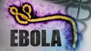 ebola (virus)